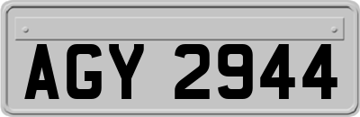 AGY2944
