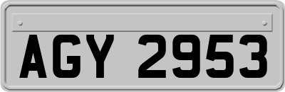 AGY2953