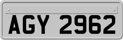 AGY2962