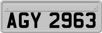 AGY2963