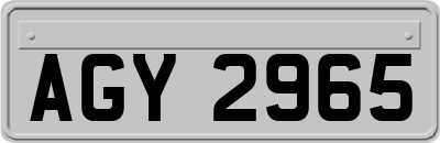 AGY2965