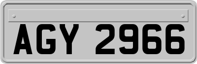 AGY2966