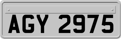 AGY2975
