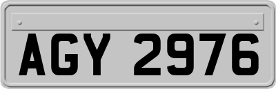 AGY2976