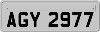 AGY2977
