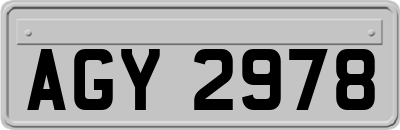 AGY2978