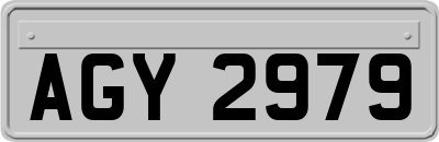AGY2979