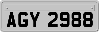 AGY2988