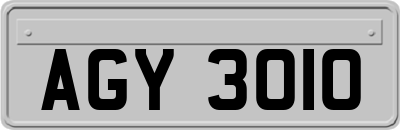 AGY3010