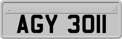 AGY3011