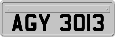 AGY3013