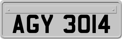 AGY3014
