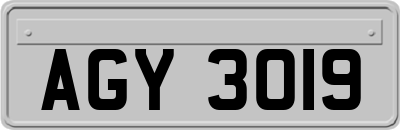 AGY3019