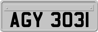 AGY3031