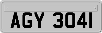 AGY3041