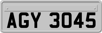 AGY3045