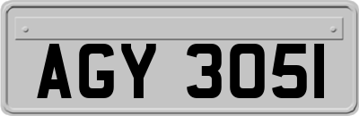 AGY3051