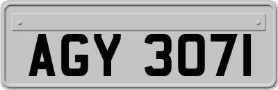 AGY3071