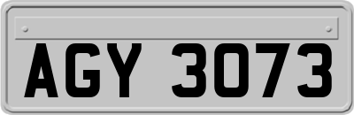 AGY3073