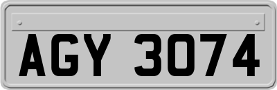 AGY3074