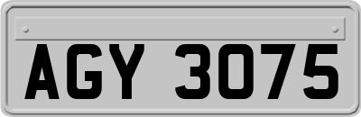 AGY3075
