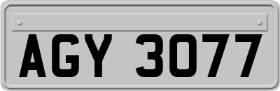 AGY3077