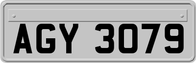 AGY3079