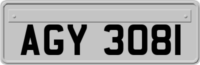 AGY3081