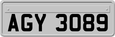 AGY3089