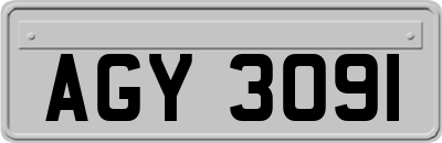 AGY3091