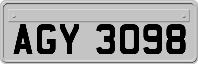 AGY3098