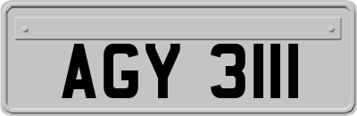 AGY3111