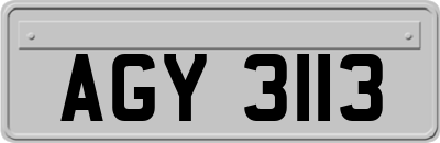 AGY3113