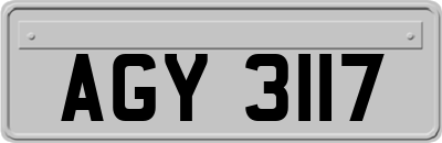 AGY3117