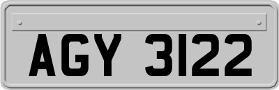 AGY3122