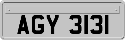 AGY3131