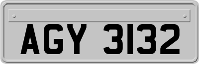 AGY3132