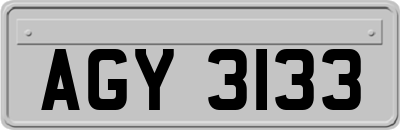 AGY3133