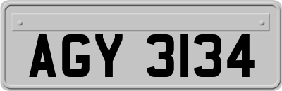 AGY3134