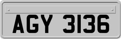 AGY3136