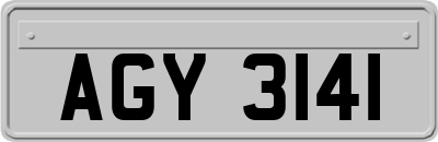 AGY3141
