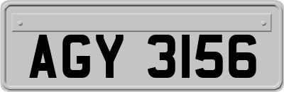 AGY3156