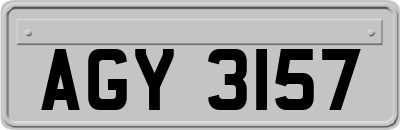 AGY3157