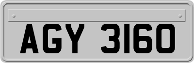 AGY3160