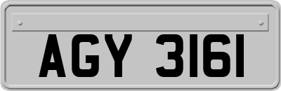 AGY3161