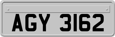 AGY3162