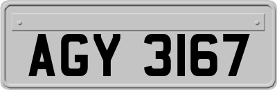 AGY3167