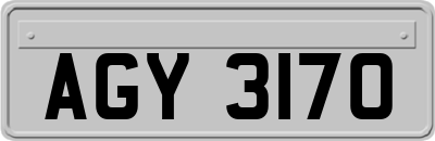 AGY3170
