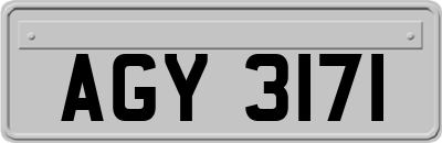 AGY3171