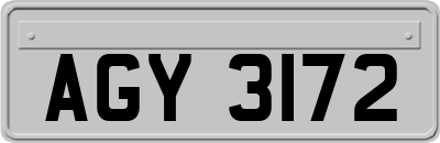 AGY3172